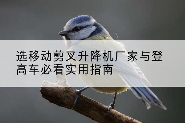 甘肃电动升降机厂家-选移动剪叉升降机厂家与登高车必看实用指南
