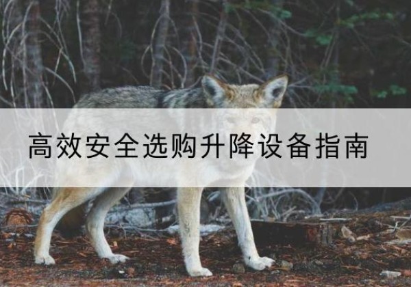 甘肃升降货梯厂家推荐-*安全选购升降设备指南